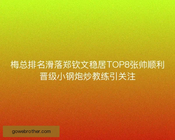 梅总排名滑落郑钦文稳居TOP8张帅顺利晋级小钢炮炒教练引关注 梅总排名滑落郑钦文稳居TOP8张帅顺利晋级小钢炮炒教练引关注