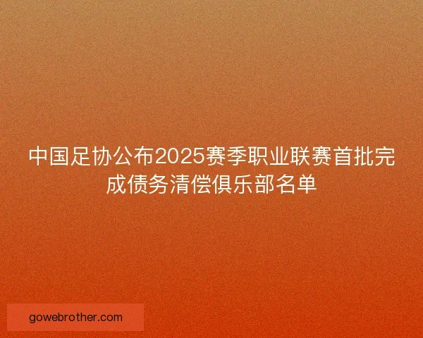 中国足协公布2025赛季职业联赛首批完成债务清偿俱乐部名单