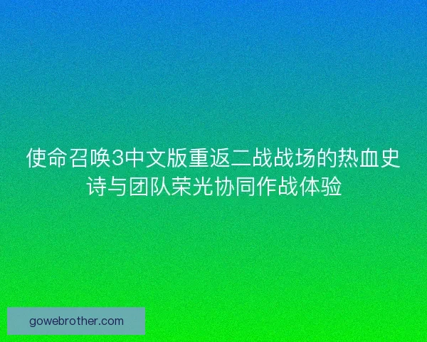 使命召唤3中文版重返二战战场的热血史诗与团队荣光协同作战体验